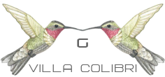 Villa-Colibri-Logo